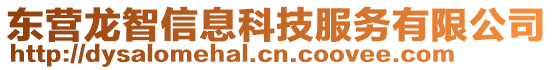 東營龍智信息科技服務(wù)有限公司