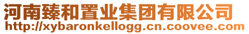 河南臻和置業(yè)集團有限公司