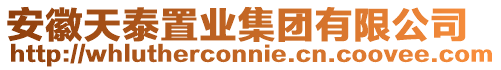 安徽天泰置業(yè)集團(tuán)有限公司