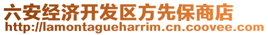 六安經(jīng)濟開發(fā)區(qū)方先保商店