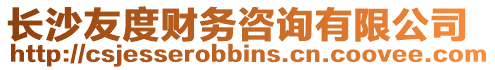 長沙友度財務咨詢有限公司