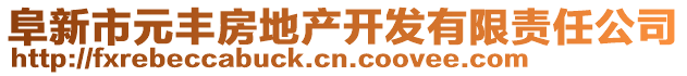 阜新市元豐房地產(chǎn)開發(fā)有限責(zé)任公司