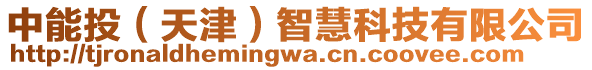 中能投（天津）智慧科技有限公司