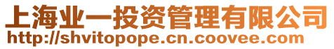 上海業(yè)一投資管理有限公司