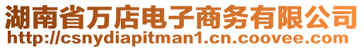 湖南省萬店電子商務(wù)有限公司