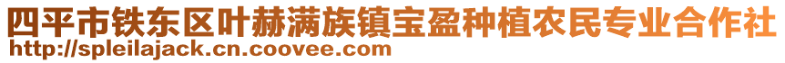 四平市鐵東區(qū)葉赫滿族鎮(zhèn)寶盈種植農(nóng)民專業(yè)合作社