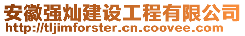 安徽強燦建設工程有限公司