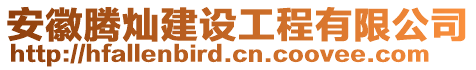 安徽騰燦建設(shè)工程有限公司