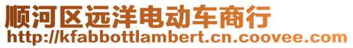 順河區遠洋電動車商行