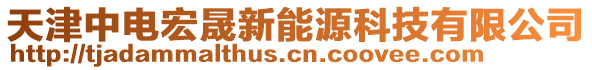 天津中電宏晟新能源科技有限公司