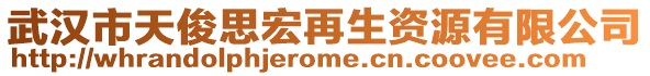 武漢市天俊思宏再生資源有限公司