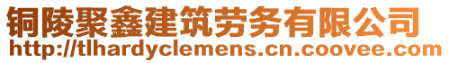 銅陵聚鑫建筑勞務(wù)有限公司