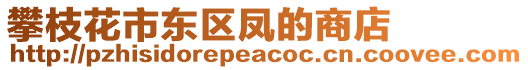 攀枝花市東區(qū)鳳的商店