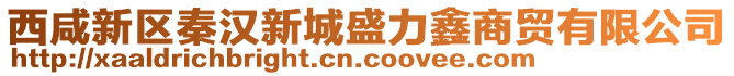西咸新區秦漢新城盛力鑫商貿有限公司