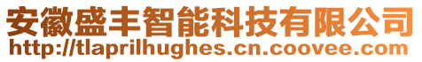 安徽盛豐智能科技有限公司