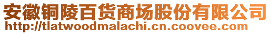 安徽銅陵百貨商場股份有限公司
