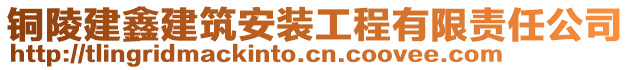 銅陵建鑫建筑安裝工程有限責(zé)任公司