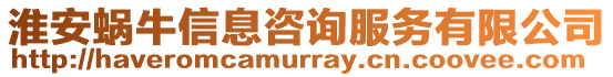 淮安蝸牛信息咨詢服務有限公司