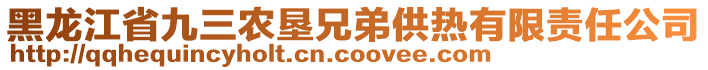 黑龍江省九三農墾兄弟供熱有限責任公司