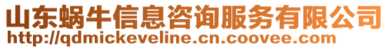 山東蝸牛信息咨詢服務(wù)有限公司