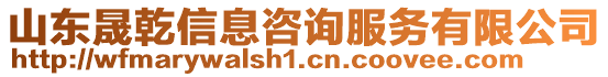山東晟乾信息咨詢服務有限公司
