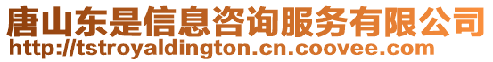 唐山東是信息咨詢服務有限公司