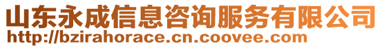 山東永成信息咨詢服務(wù)有限公司