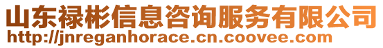 山東祿彬信息咨詢服務(wù)有限公司