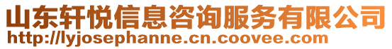 山東軒悅信息咨詢服務有限公司
