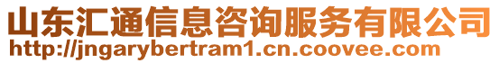 山東匯通信息咨詢服務有限公司