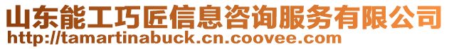 山東能工巧匠信息咨詢服務有限公司