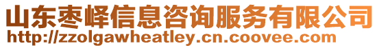 山東棗嶧信息咨詢服務有限公司