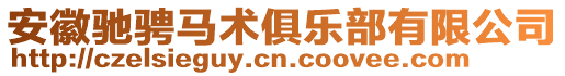 安徽馳騁馬術(shù)俱樂部有限公司