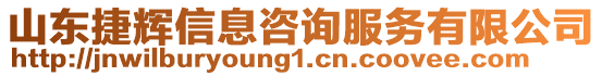 山東捷輝信息咨詢服務有限公司