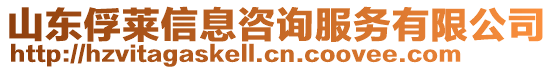 山東俘萊信息咨詢服務有限公司
