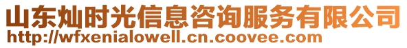 山東燦時光信息咨詢服務有限公司