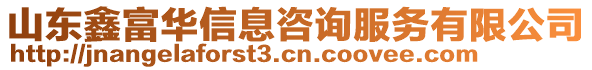 山東鑫富華信息咨詢服務有限公司