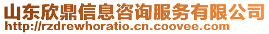 山東欣鼎信息咨詢服務(wù)有限公司