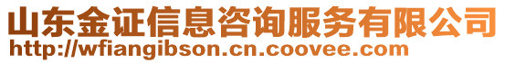 山東金證信息咨詢服務有限公司