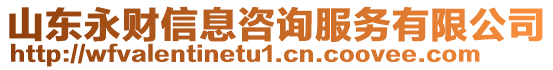 山東永財(cái)信息咨詢服務(wù)有限公司