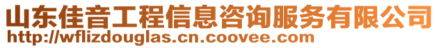 山東佳音工程信息咨詢服務(wù)有限公司