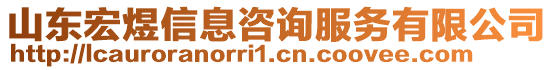 山東宏煜信息咨詢服務(wù)有限公司