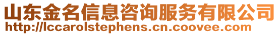 山東金名信息咨詢服務(wù)有限公司
