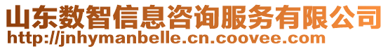 山東數(shù)智信息咨詢服務(wù)有限公司