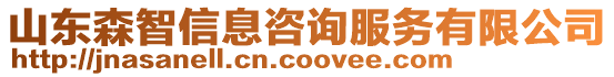 山東森智信息咨詢服務(wù)有限公司