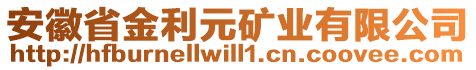安徽省金利元礦業有限公司