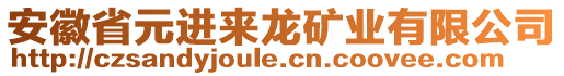 安徽省元進來龍礦業有限公司