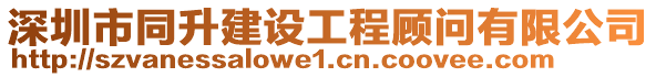 深圳市同升建設(shè)工程顧問有限公司