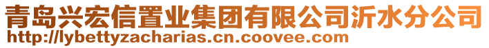 青島興宏信置業(yè)集團(tuán)有限公司沂水分公司