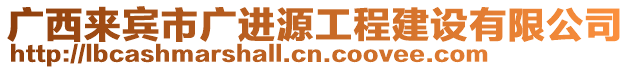 廣西來賓市廣進源工程建設(shè)有限公司